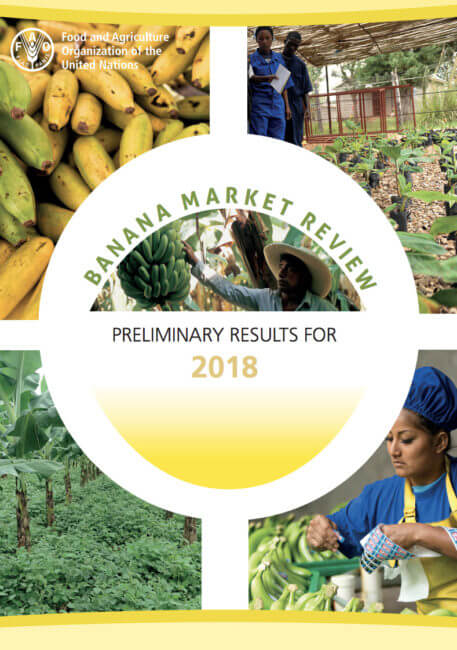FAO Banana Market Review